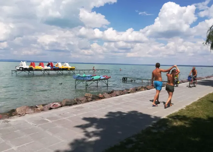 Apartments In Siofok - Balaton 44890